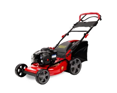 Benzininė vejapjovė RIDER WYZ-18H su Briggs & Stratton varikliu